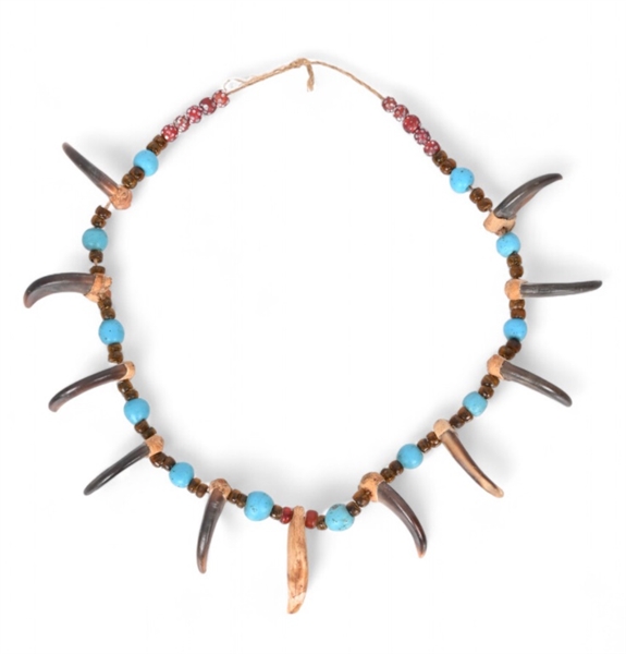 Indian Made Grizzly Claw & Tooth Necklace