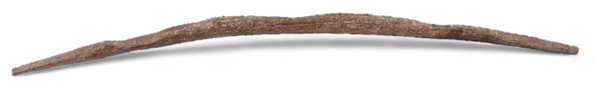 Elkhorn Indian Bow Found Near Big Bend Texas