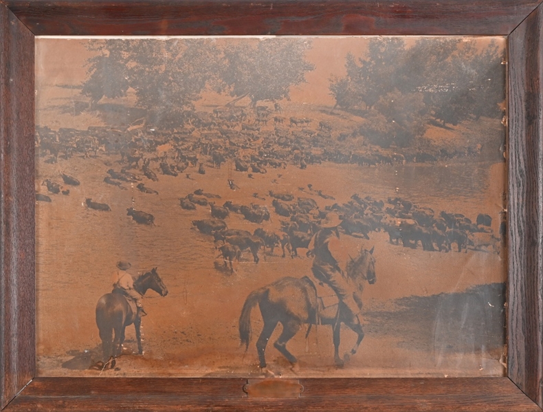 Large Cattle Drive Scene Photo